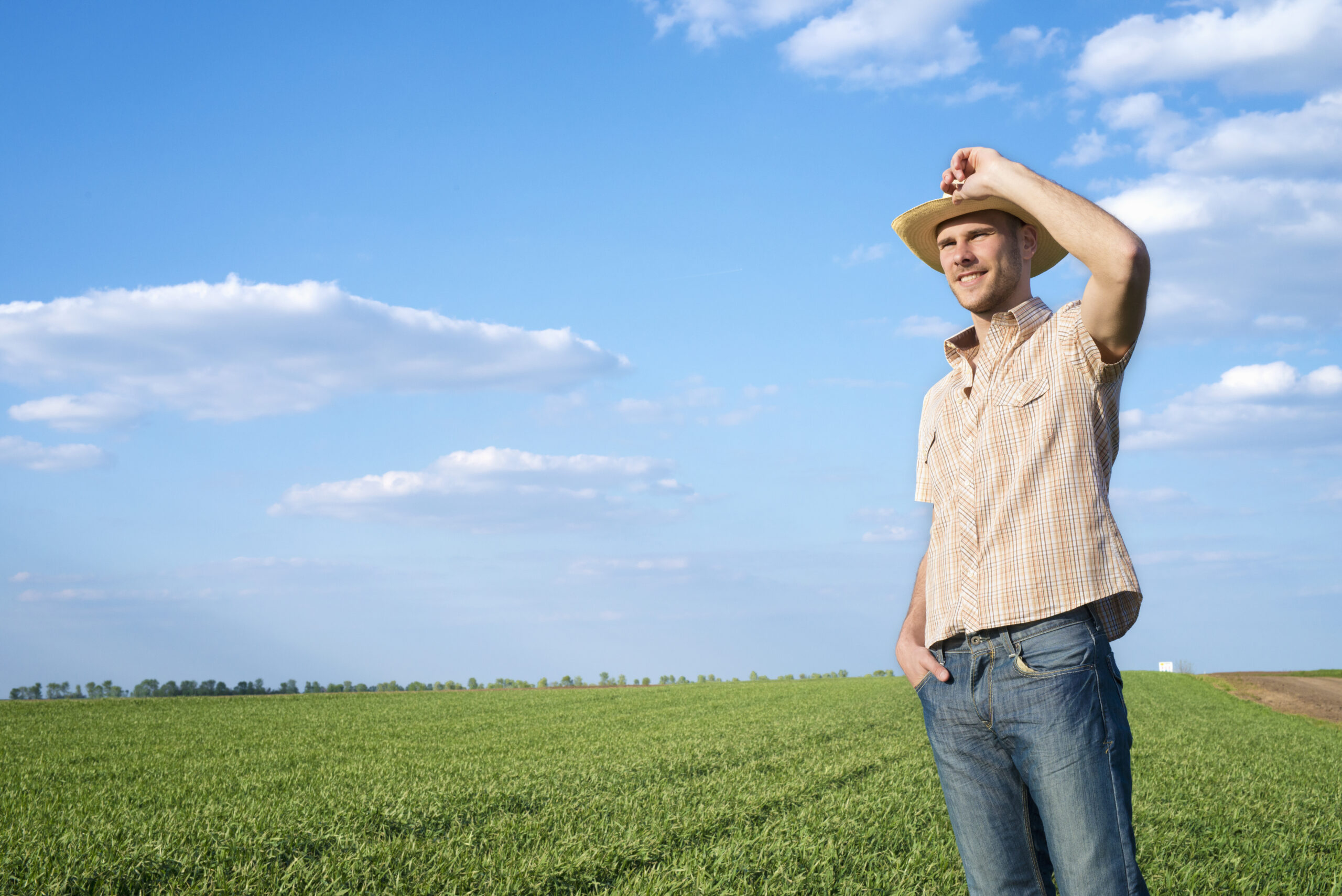 Young farmer in the field observing crops.